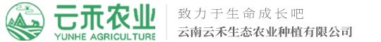 甯夏領鮮果蔬産業發展有限公司